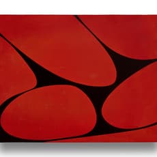 Gary Paller