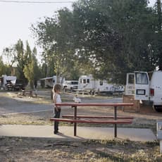 Justine Kurland