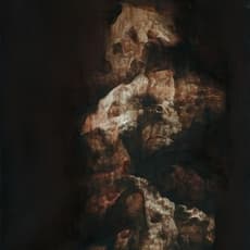 Xue Song 雪松