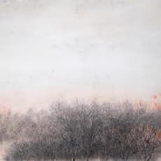 Terence Tan