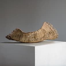 Tim Johnson (b. 1967)