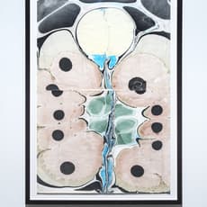Adam Rabinowitz