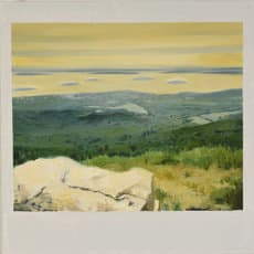 Luke Randall