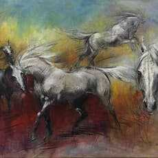 Pascal Dabere