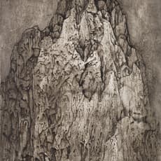 Wang Mansheng