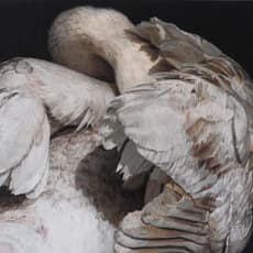 Christopher Stevens (b. 1961)