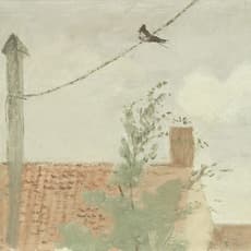 Mary Potter