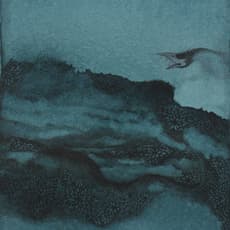 Maha Ahmed