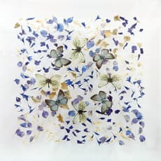 Anna Masters