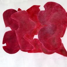 Ray Kass