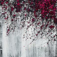 Neil Douglas