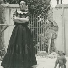 Lola Álvarez Bravo