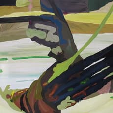Clare Woods