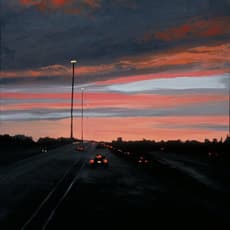 Anne M Bray
