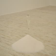 Dove Bradshaw