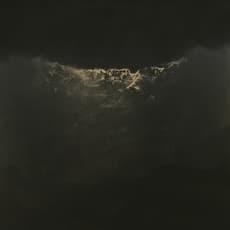 Anne Judell