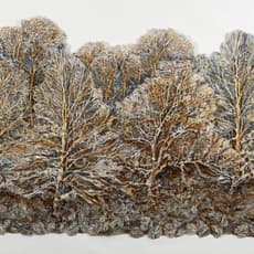 Lesley Richmond