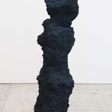 Guy Rusha