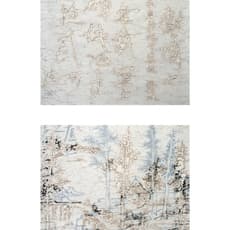 Wang Tiande