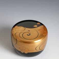 Shinzan Somata