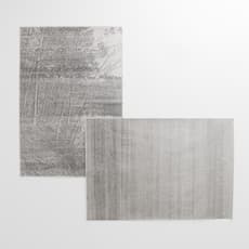 Javier Arce
