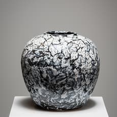 KANEKO HARUHIKO