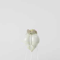 Leora Honeyman