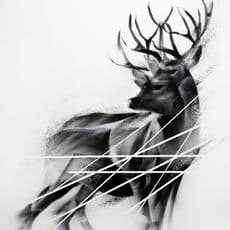 Aaron Li-Hill
