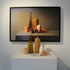 Carolina Wilcke