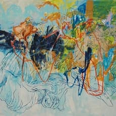 Hans Sieverding