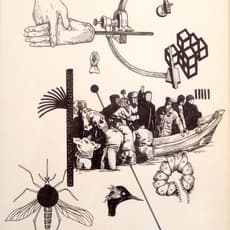 William Buchina