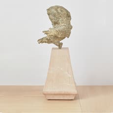 Willem Strydom
