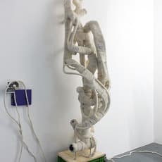 Renaud Jerez