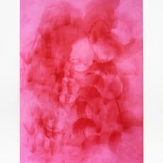 Anna Higgins