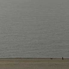 Tomio Seike