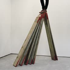 Tom Lovelace