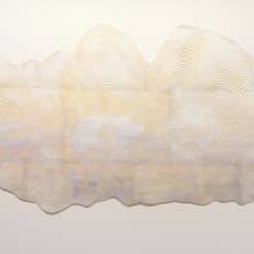 Laura Vandenburgh