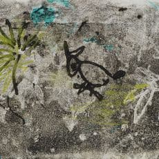 Frances Richards