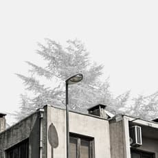 Egemen Tuncer