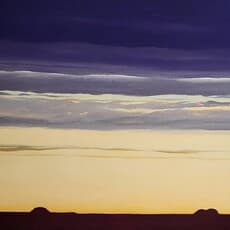 Roger Laux Nelson