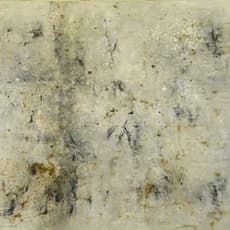Orly Rabinowitz