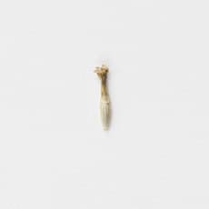 Lise Duclaux