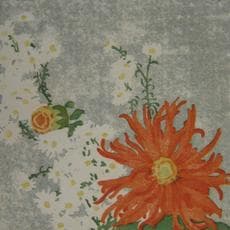 Edna Boies Hopkins