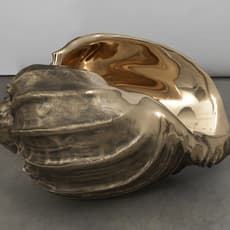 Marc Quinn