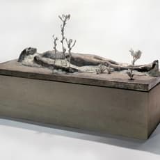 Rina Stutzer