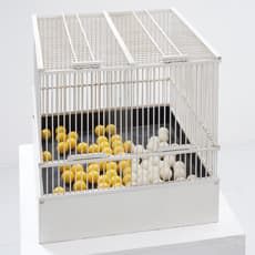Shoji Iida