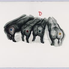 Yang Dongxue