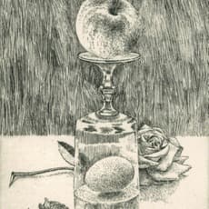 David Tindle