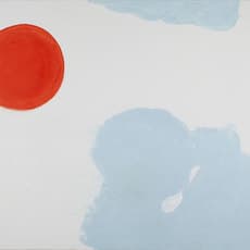 Yudith Levin