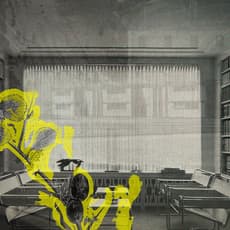 Susanne Wellm